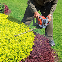 Tree & Shrub Trimming